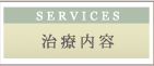 治療内容